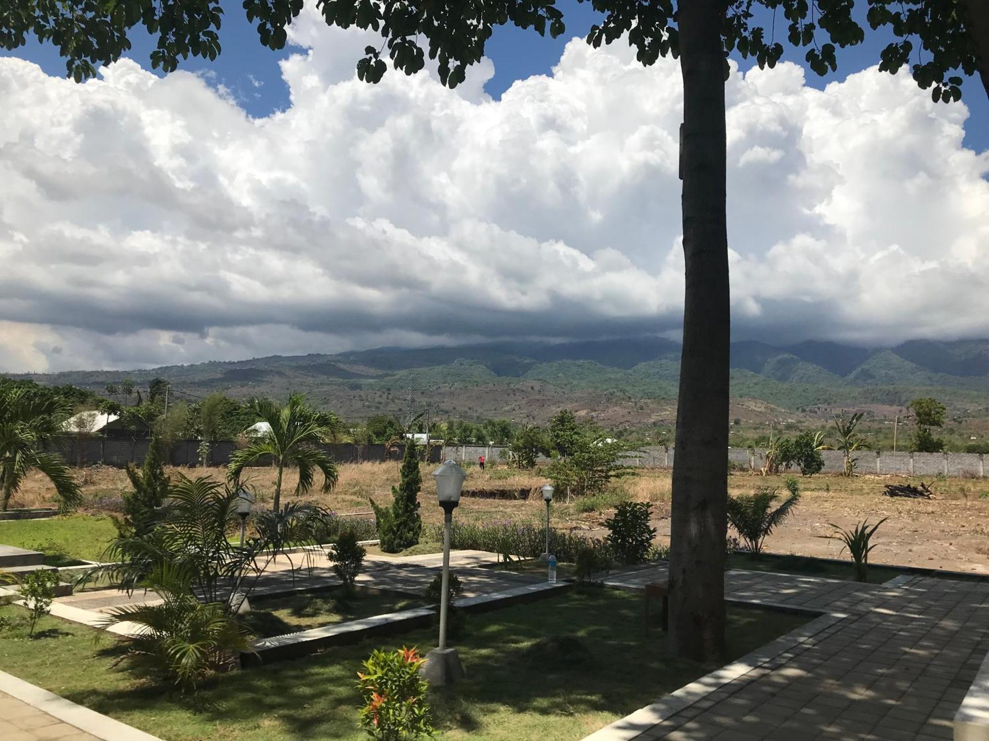 Pohon Purba Resort & Restaurant Labuhan Pandan Exteriör bild
