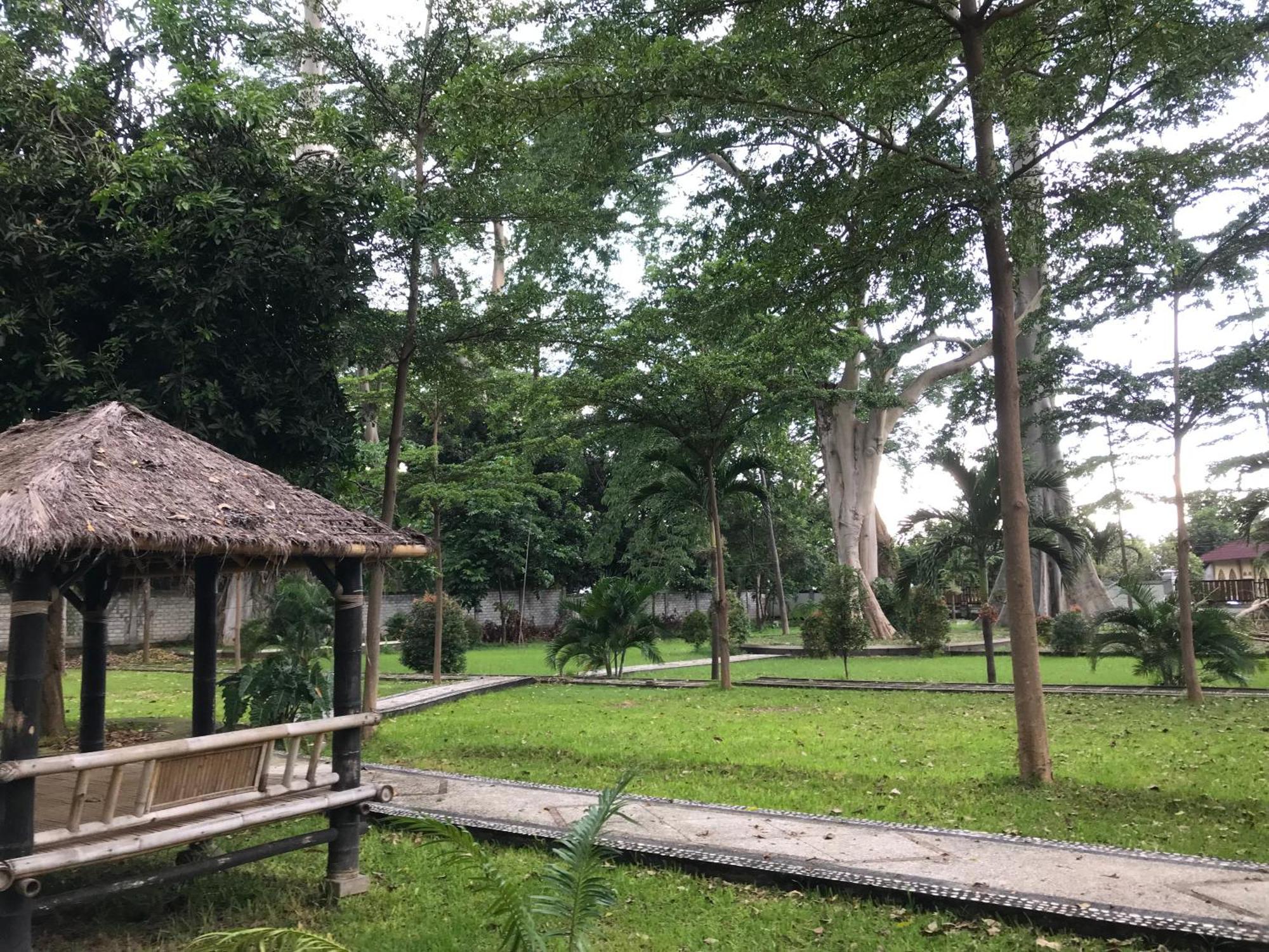 Pohon Purba Resort & Restaurant Labuhan Pandan Exteriör bild