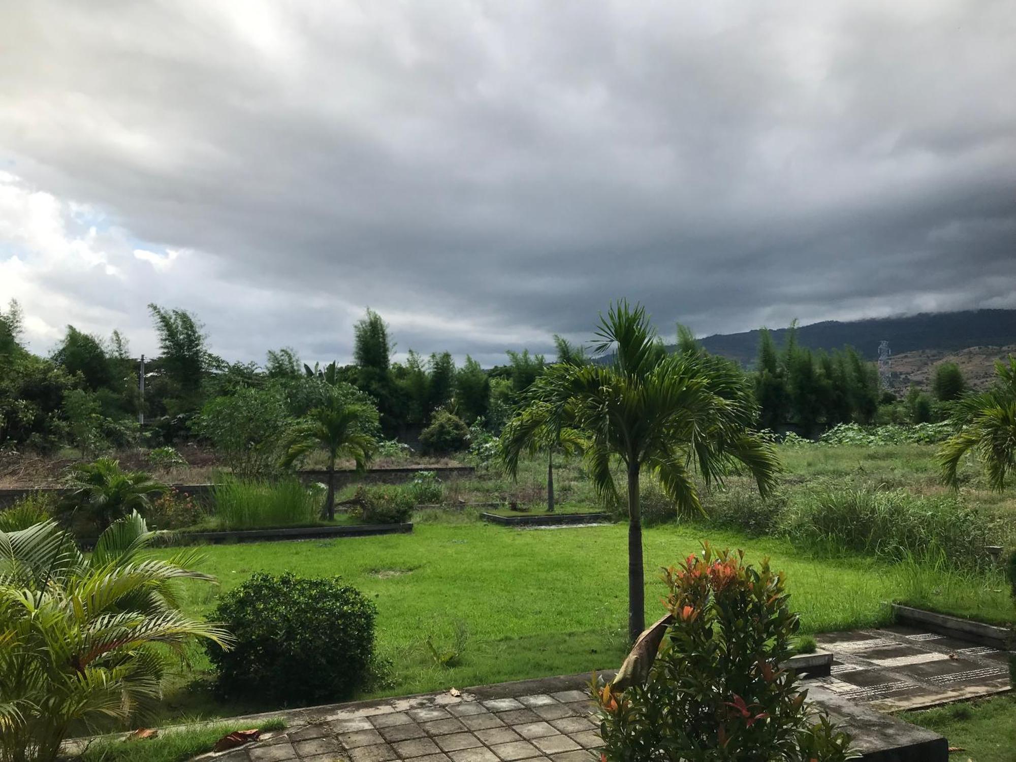 Pohon Purba Resort & Restaurant Labuhan Pandan Exteriör bild