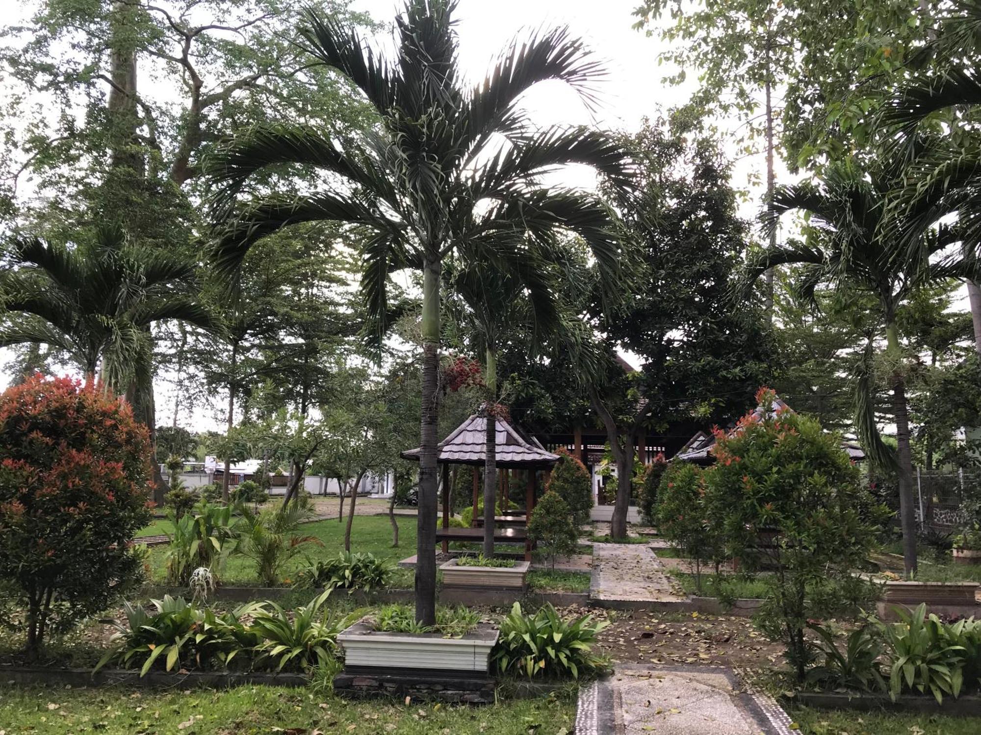 Pohon Purba Resort & Restaurant Labuhan Pandan Exteriör bild