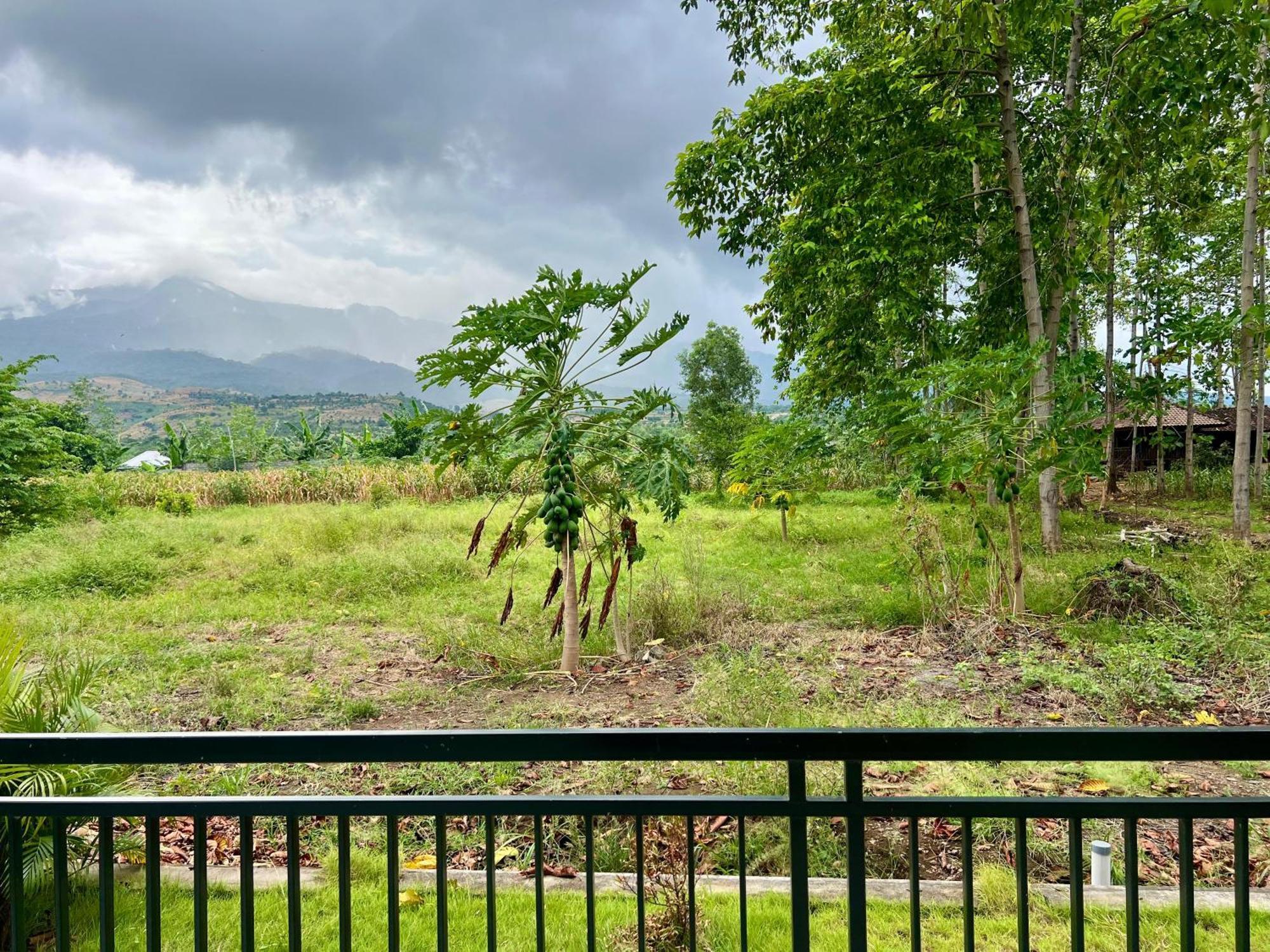 Pohon Purba Resort & Restaurant Labuhan Pandan Exteriör bild